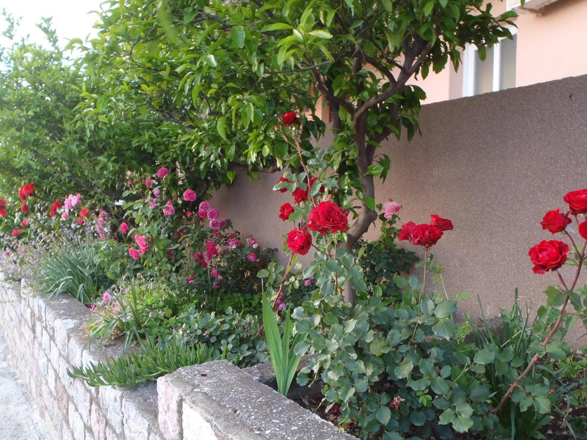 Apartments Durasevic Sveti Stefan Exterior foto